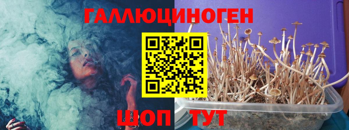 Псилоцибиновые грибы MAGIC MUSHROOMS Дербент